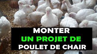 COMMENT MONTER UN PROJET D'ÉLEVAGE DE POULET DE CHAIR