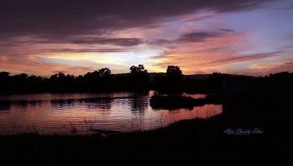 Nature beauty